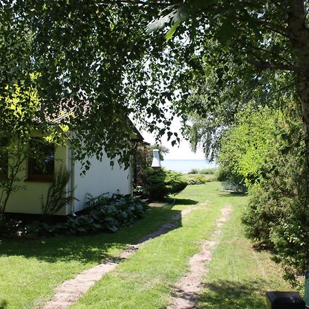 Villa Beata Nowe Warpno Zewnętrze zdjęcie